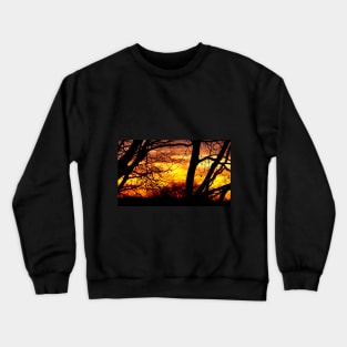 Sunset through the Trees Crewneck Sweatshirt